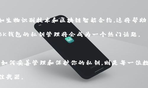 BK钱包私钥多少位数是一个值得深入探讨的话题。在数字货币和区块链技术不断发展的今天，越来越多的人开始关注钱包的安全性，而钱包的私钥则是保护数字资产的关键。本文将深入探讨BK钱包私钥的位数、它的重要性以及如何安全地管理私钥。

BK钱包私钥数量与安全性：

BK钱包的私钥通常是由一种复杂的算法生成的，通常为256位。这意味着在理论上，每个私钥的组合数量巨大，约为2的256次方，而这样的组合数几乎是不可能被完全破解的。这种设计确保了用户的资产安全，毕竟，若私钥被他人获取，就等于你的数字货币被完全控制。

为什么私钥数量如此重要？

当你使用BK钱包时，你的私钥相当于一把锁，只有拥有这把钥匙的人才能打开。想象一下，如果你的门锁只有三位数的密码，那么被破解的几率将会大大增加。而BK钱包 256位的私钥正是通过增加组合的复杂性来提升安全性。

没有人愿意失去他们的数字资产，因此了解私钥的长度和生成方式显得尤其重要。实际上，了解私钥的本质，不仅能帮助你更好地使用BK钱包，还能让你在面对潜在风险时保持冷静。

如何管理你的BK钱包私钥？

有效管理私钥是保护数字资金的关键。以下是一些简单而实用的建议：

1. **不共享你的私钥：** 这一点听上去简单，但在实际操作中许多人还是会不小心泄露出自己的私钥。无论身边的人多么可信，私钥始终是个人隐私，应该保护好。
   
2. **备份与加密：** 请务必定期备份你的私钥，并将其存储在安全的地方。考虑使用加密工具，这样即使备份被他人获取，他们也无法轻易访问。

3. **使用硬件钱包：** 硬件钱包是存储私钥的安全设备，确保私钥不会在网上暴露。它们相对于软件钱包而言，安全性更高，因此越来越多的用户选择使用。

4. **启用双重验证：** 如果钱包支持双重验证功能，请务必开启，这可以增加额外的安全层次，让你的资产更加安全。

私钥丢失的后果：应该怎么办？

在一个不幸的情况下，如果你丢失了BK钱包的私钥，后果可能是灾难性的。几乎所有的资产都会丧失，因为没有私钥，你将无法访问你的数字货币。建议如果你丢失了私钥，不要尝试使用稀奇古怪或来路不明的程序来恢复它，这往往会导致更大的损失。

在此我建议的是，尽早学习和熟悉私钥的管理，为了避免此类不幸事件的发生，可以事先准备多个备份和存放方式，或考虑将你的数字资产转移到更为安全的平台。

未来的期待与方向：BK钱包的发展潜力

尽管BK钱包在当前已广泛使用，并拥有一定的用户基础，但显然，技术的发展永无止境。未来，BK钱包有可能会引入更多的安全措施，比如生物识别技术和区块链智能合约，这将帮助用户更轻松地管理私钥，提升使用体验。

与此同时，BK钱包的社区也在不断壮大，用户的反馈和需求很可能会推动其进行相应的改进。随着对数字资产安全关注度的不断上升，BK钱包的私钥管理将会成为一个热门话题。

结论

总的来说，BK钱包的私钥之长短是确保用户资产安全的重要因素。私钥的位数越长，破解的几率就越低，从而提升钱包整体的安全性。而如何妥善管理和保护你的私钥，则是每一位数字货币用户需要面对的重要课题。透彻了解私钥的功能、重要性及管理策略，才能更好地保护你的资产，安心享受数字货币带来的便利。

通过这篇文章，希望能够帮助你更深刻理解BK钱包的私钥及其相关问题。在这个快速发展的数字时代，保持敏锐和谨慎，将会是你的最佳武器。