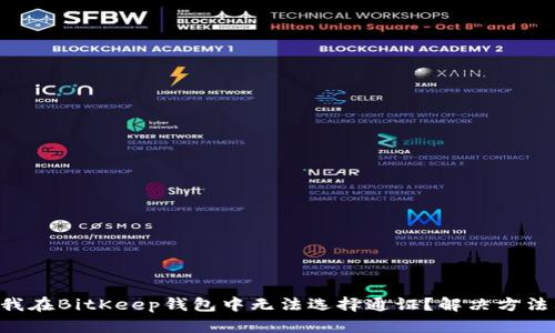 为什么我在BitKeep钱包中无法选择通证？解决方法大揭秘！