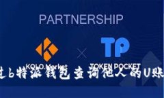 如何通过b特派钱包查询他人的U账户信息？