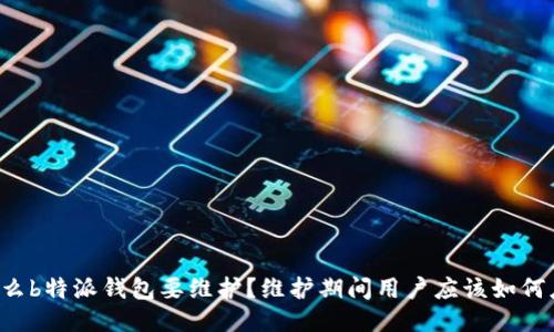 为什么b特派钱包要维护？维护期间用户应该如何应对？