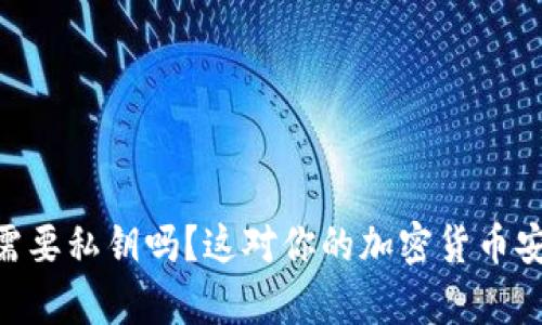 Biswap特派不需要私钥吗？这对你的加密货币安全意味着什么？