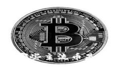 在b特派中，哪些主流币是可以存放的？