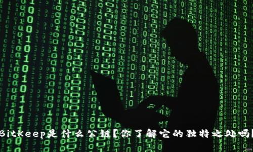 BitKeep是什么公链？你了解它的独特之处吗？