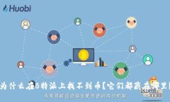 为什么在B特派上找不到币？它们都藏在哪里？