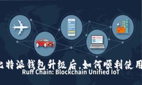 比特派钱包升级后，如何顺利使用？