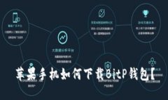 苹果手机如何下载BitP钱包？