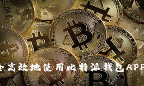 如何安全高效地使用比特派钱包APP安卓版？