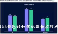 使用bk钱包时如何识别和应对风险？