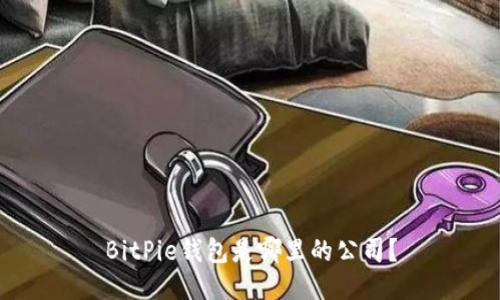 BitPie钱包是哪里的公司？