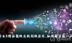 为什么B特派转账出现到账延迟，如何解决这一问