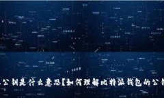 比特派公钥是什么意思？如何理解比特派钱包的