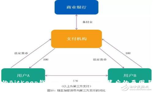 为什么你的BitKeep钱包被标记了？了解背后的原因与应对策略