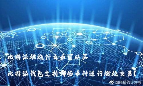 比特派燃烧什么币可以买

比特派钱包支持哪些币种进行燃烧交易？