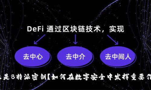 什么是B特派密钥？如何在数字安全中发挥重要作用？