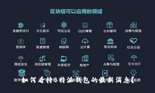 如何看待B特派钱包的最新消息？