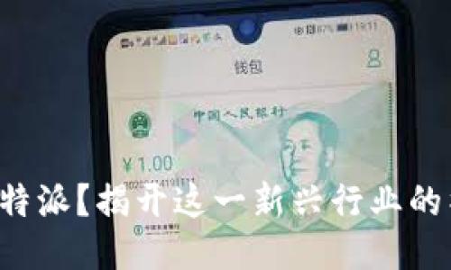 什么是B特派？揭开这一新兴行业的神秘面纱