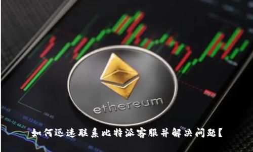 如何迅速联系比特派客服并解决问题？
