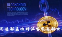 如何迅速联系比特派客服并解决问题？