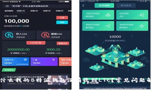 为什么我的B特派钱包没有收到LTC？常见问题解析