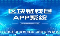 Bitp服务器出现错误，应该如何解决？