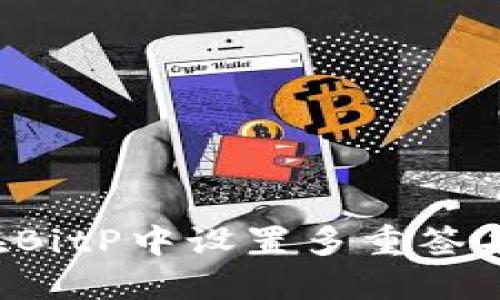 ibaoti如何在BitP中设置多重签名以支持BSC？