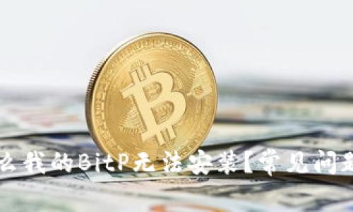 为什么我的BitP无法安装？常见问题解析