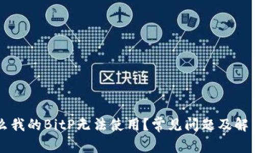 为什么我的BitP无法使用？常见问题及解决方法