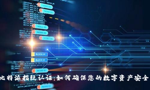 比特派指纹认证：如何确保您的数字资产安全？