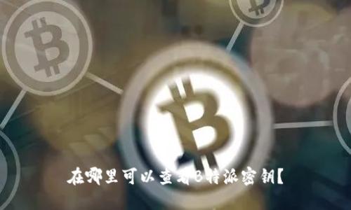 在哪里可以查看B特派密钥？
