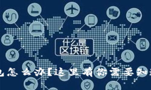 丢失b特派钱包怎么办？这里有你需要知道的解决方案！