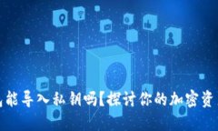 比特派钱包能导入私钥吗？探讨你的加密资产安