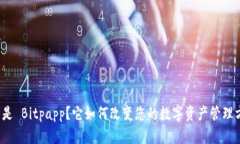 什么是 Bitpapp？它如何改变您的数字资产管理方式