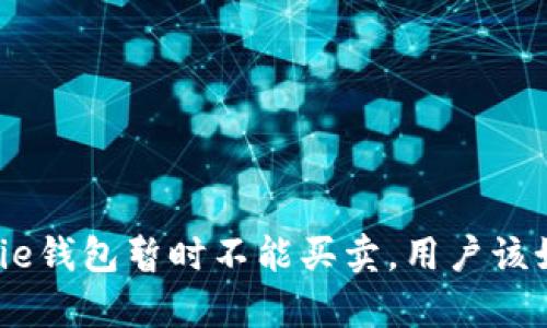 如果Bitpie钱包暂时不能买卖，用户该如何应对？