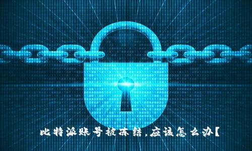  比特派账号被冻结，应该怎么办？