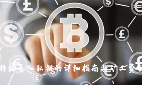 比特派导入私钥的详细指南与矿工费解析