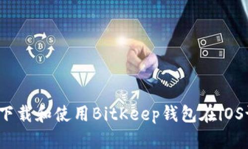  如何下载和使用BitKeep钱包在iOS设备上