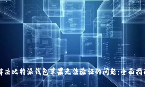 解决比特派钱包苹果无法验证的问题：全面指南