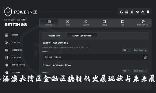 粤港澳大湾区金融区块链的发展现状与未来展望