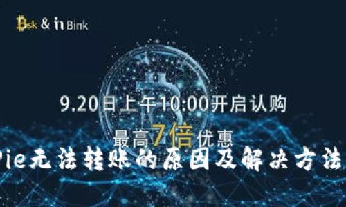 BitPie无法转账的原因及解决方法详解