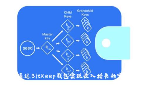 如何通过BitKeep钱包实现收入增长的完整指南