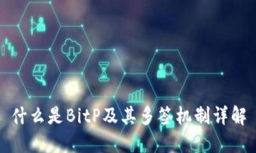 什么是BitP及其多签机制详解