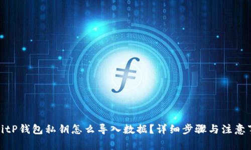 : BitP钱包私钥怎么导入数据？详细步骤与注意事项