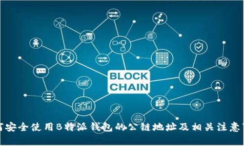 如何安全使用B特派钱包的公链地址及相关注意事项