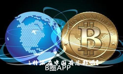  b特派在中国有总部吗？