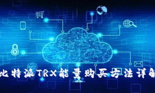 比特派TRX能量购买方法详解