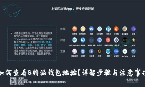 如何查看B特派钱包地址？详解步骤与注意事项