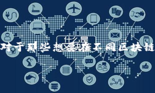 特派不兼容BSC 是一个在区块链领域中经常碰到的问题，尤其是对于那些想要在不同区块链之间进行交互的用户和开发者而言。以下是为该主题准备的内容：

特派不兼容BSC：理解与解决方案