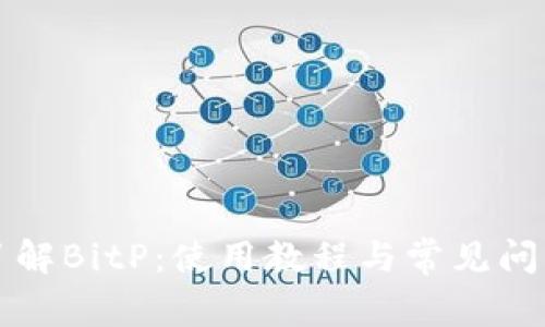 深入了解BitP：使用教程与常见问题解答