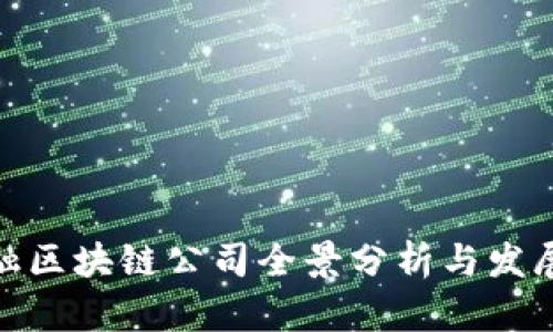 : 合肥金融区块链公司全景分析与发展前景探讨