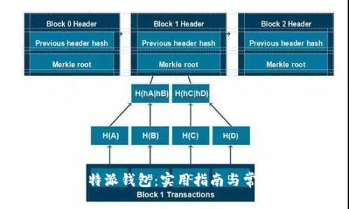 怎样找回B特派钱包：实用指南与常见问题解答